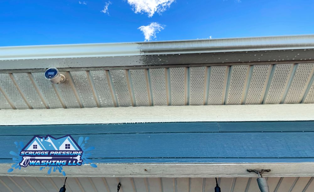 Gutter cleaning