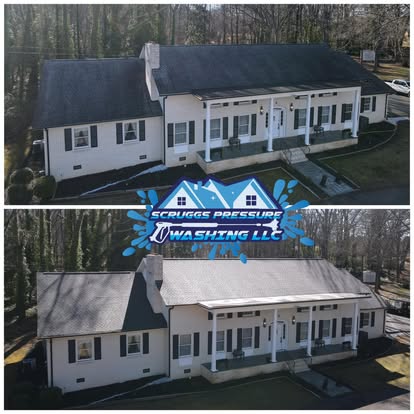 Roof cleaning